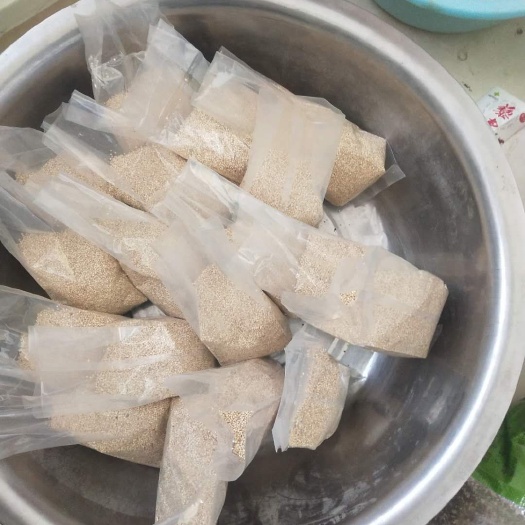  青海都兰3号藜麦100斤