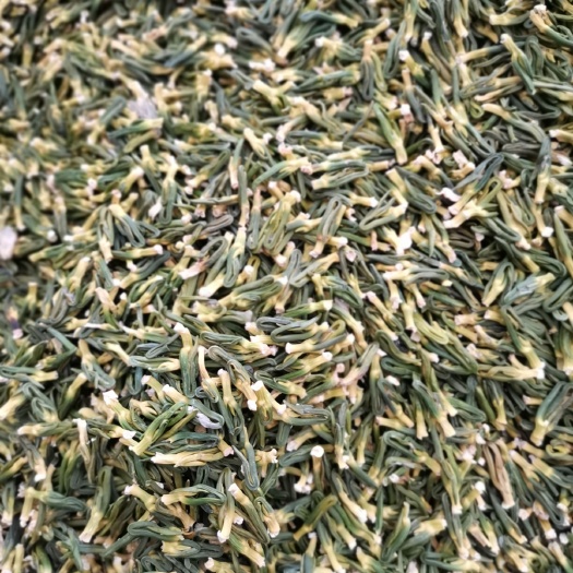 莲子心茶 江西手莲子心、原产地一手货源、价格优惠、质量保证