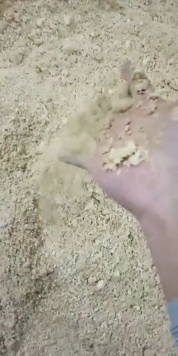 衡东县 大量出售发酵豆腐渣