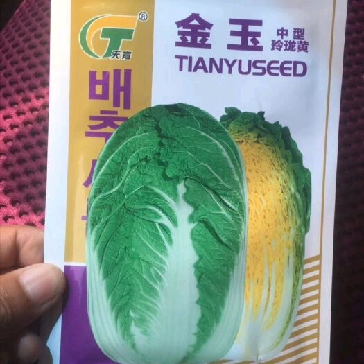 玉田县黄心白菜种子 黄心菜玲珑黄种子保证抗根肿病