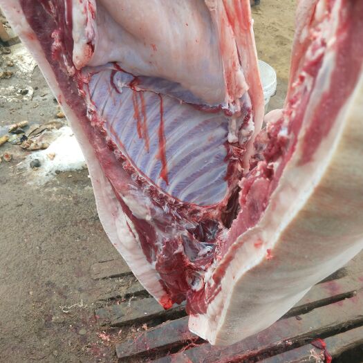 平山县藏香猪肉 生肉