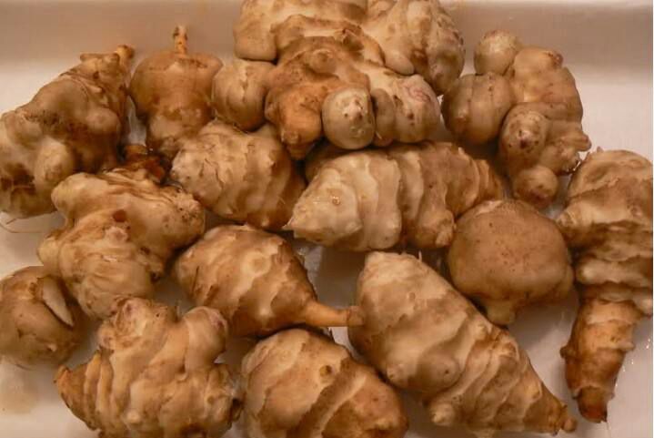 砀山县白洋姜 质量优，价格低，量大包邮