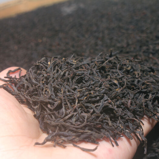 安溪县 特级正山小种红茶 武夷山正山小种茶农直销 新店亏本试喝！