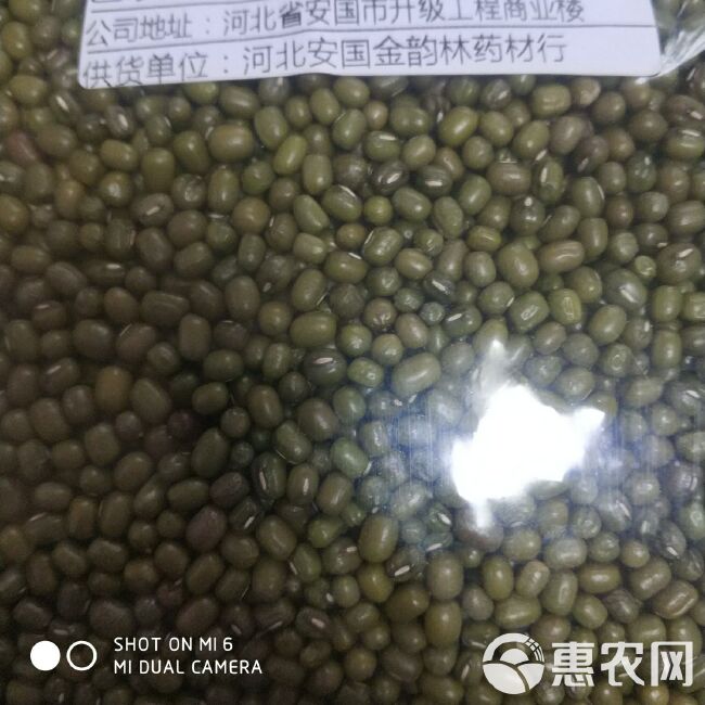 杂绿豆  华北农家自种 药食两用 袋装 一件包邮