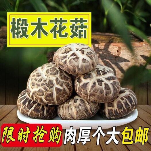 南漳县高山椴木花菇自然晒干2斤也包邮