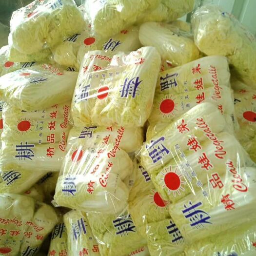 宜城市 精品娃娃菜，绿色无污染，包装精美