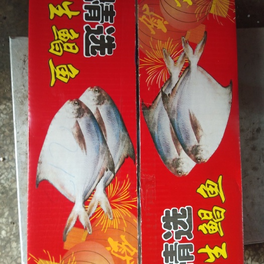 荣成市 鲳鱼