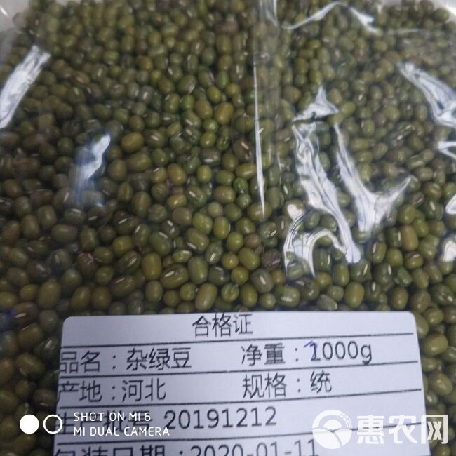 杂绿豆  华北农家自种 药食两用 袋装 一件包邮