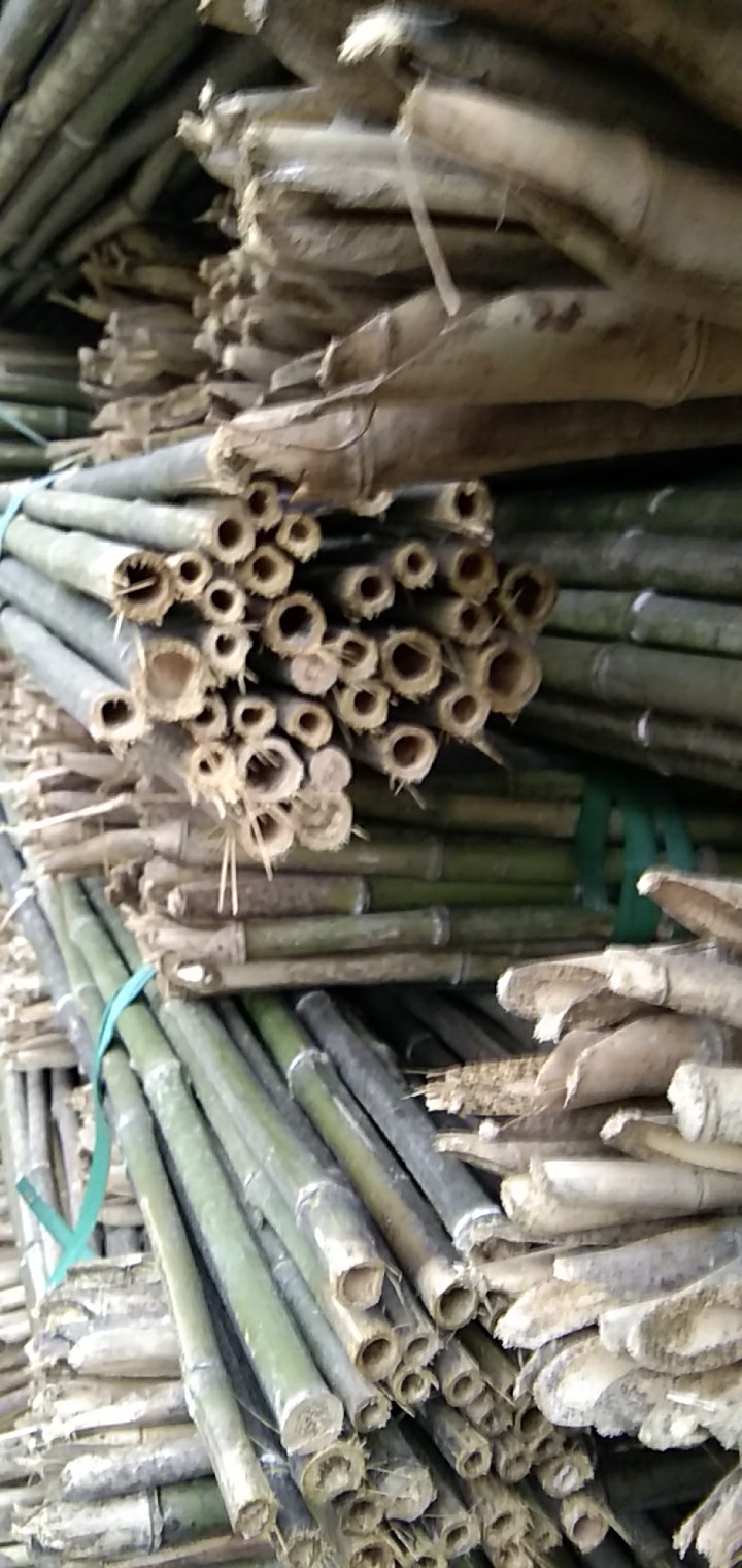 竹山县苦竹 根据用户要求生产加工各种规格的竹竿