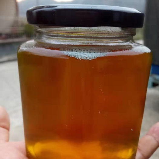 江华县 岭南鸭脚木蜜，百花蜜