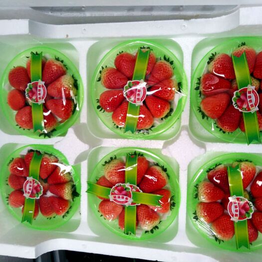 徐州奶油草莓 妙香供应