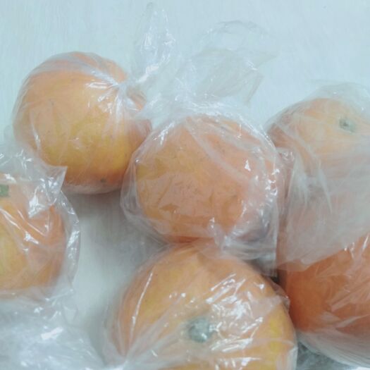 顺昌县 本人有大量的橙子，物美价宜，欢迎诃购。