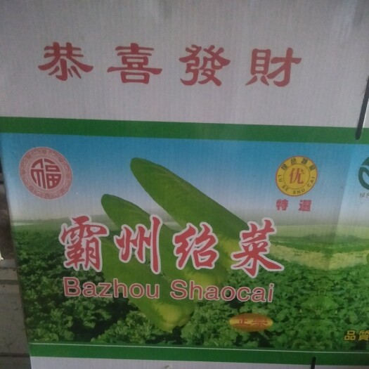 霸州市广州菜心 霸州绍菜