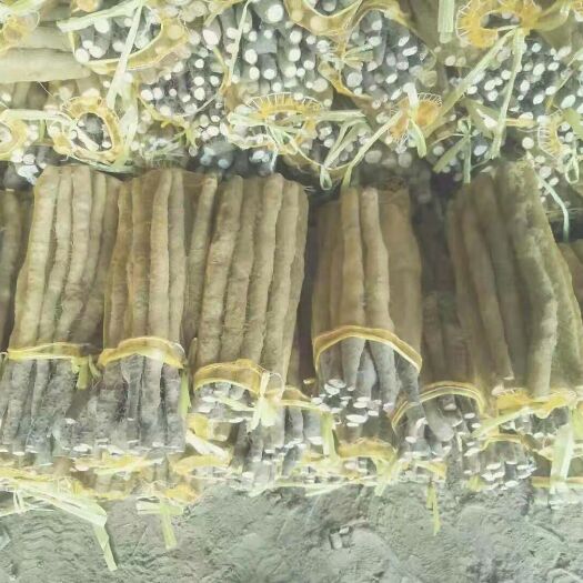 编号001小白嘴白山药开始啦！