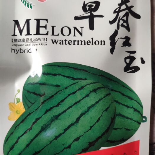 早春红玉种子  ，早熟礼品西瓜，小果型，200粒