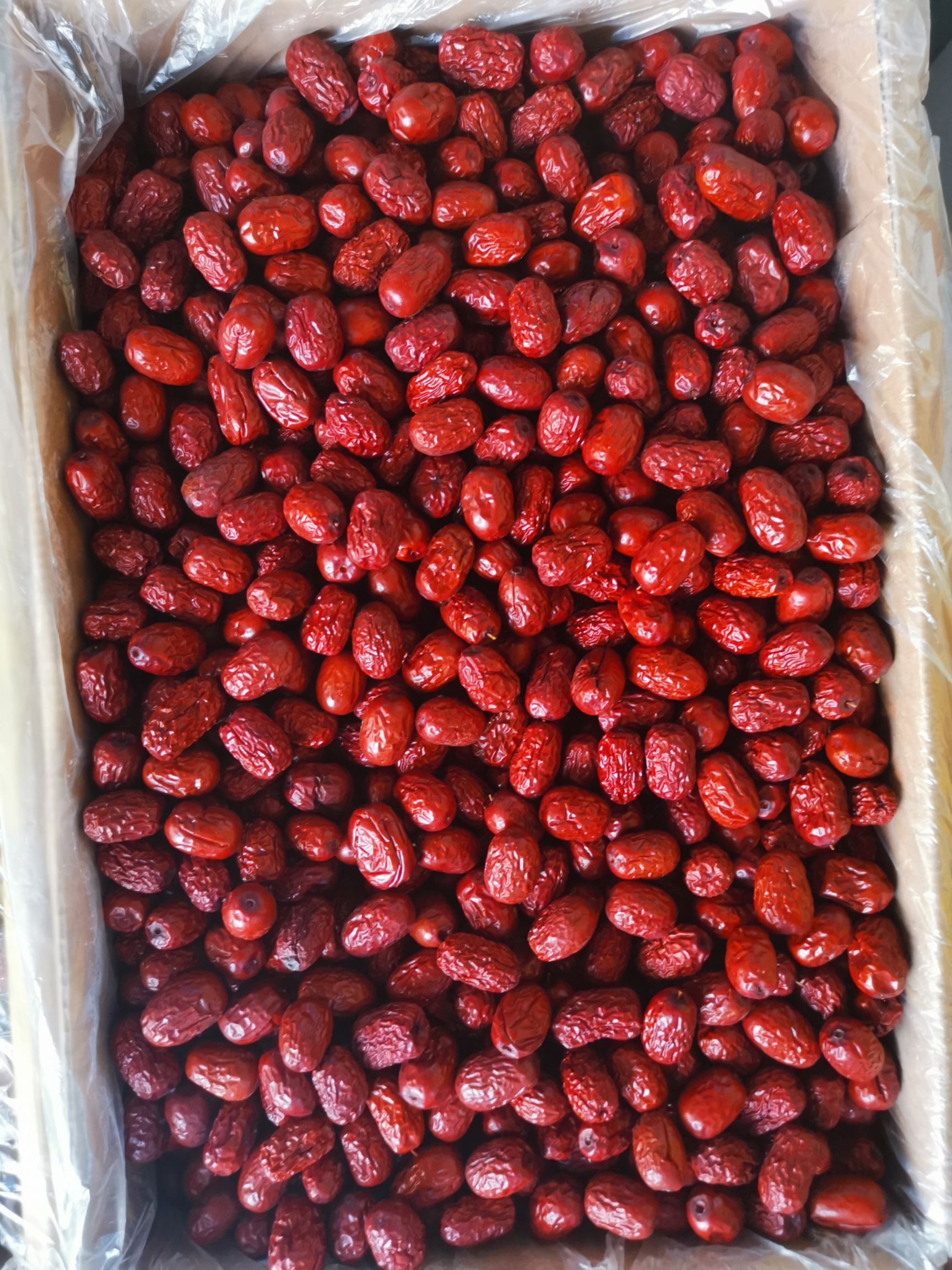  红枣灰枣一件代发3斤5斤新疆特产若羌灰枣