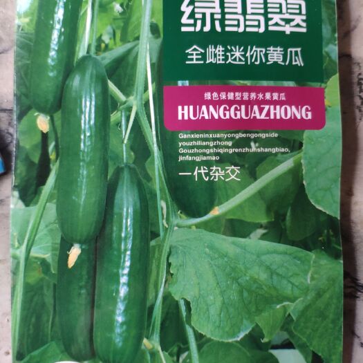 余干县水果黄瓜种子   绿翡翠黄瓜种子 全雌迷你水果黄瓜