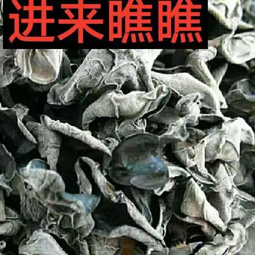 东北黑木耳  黑木耳 全国包邮！