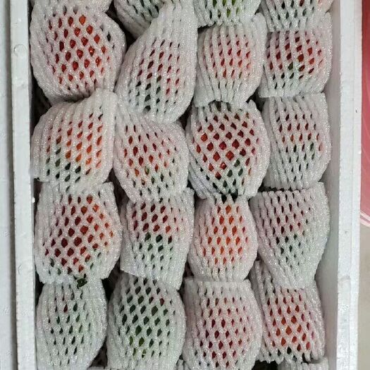 德昌县 天然绿色露天草莓