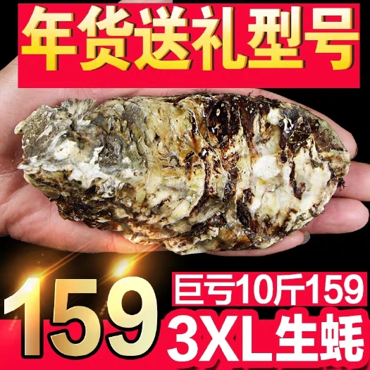 乳山市净化蚝  山东威海乳山牡蛎10斤礼盒顺丰包邮非广东福建湛江大