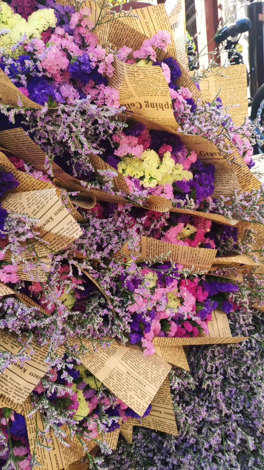  勿忘我鲜花干花永生花支持一件代发批发团购云南直发摆地摊