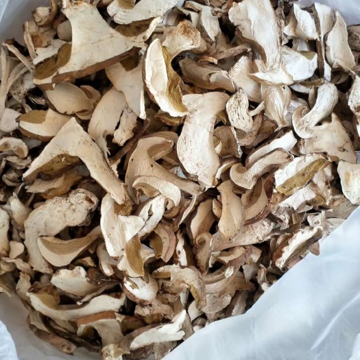 得荣县 牛肝菌