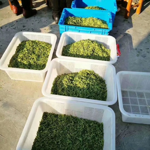 东莞市龙井茶  茶开始上市了！微ok28995379
