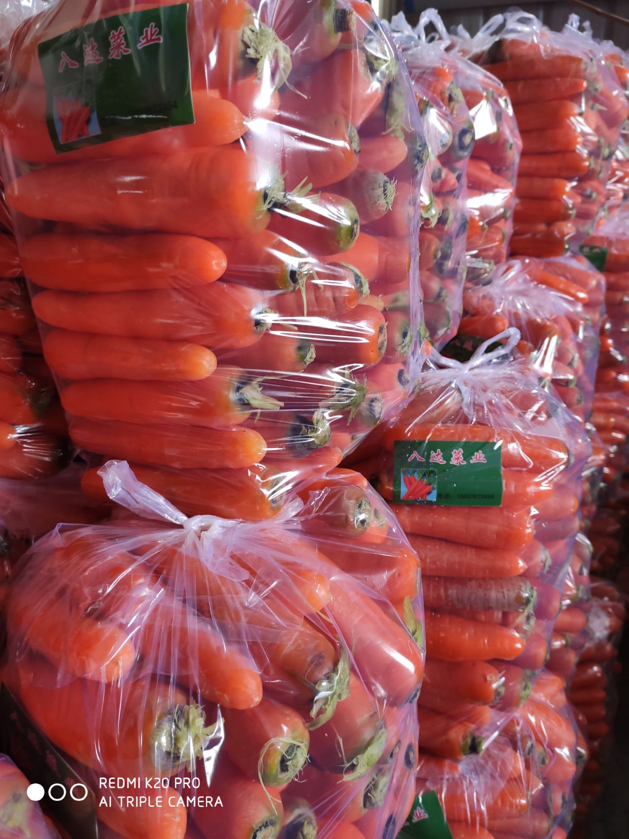  加工厂 市场用胡萝卜大量