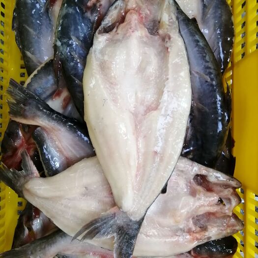 湛江巴沙鱼厂家供应国产开背巴沙鱼广东湛江茂名品质保证