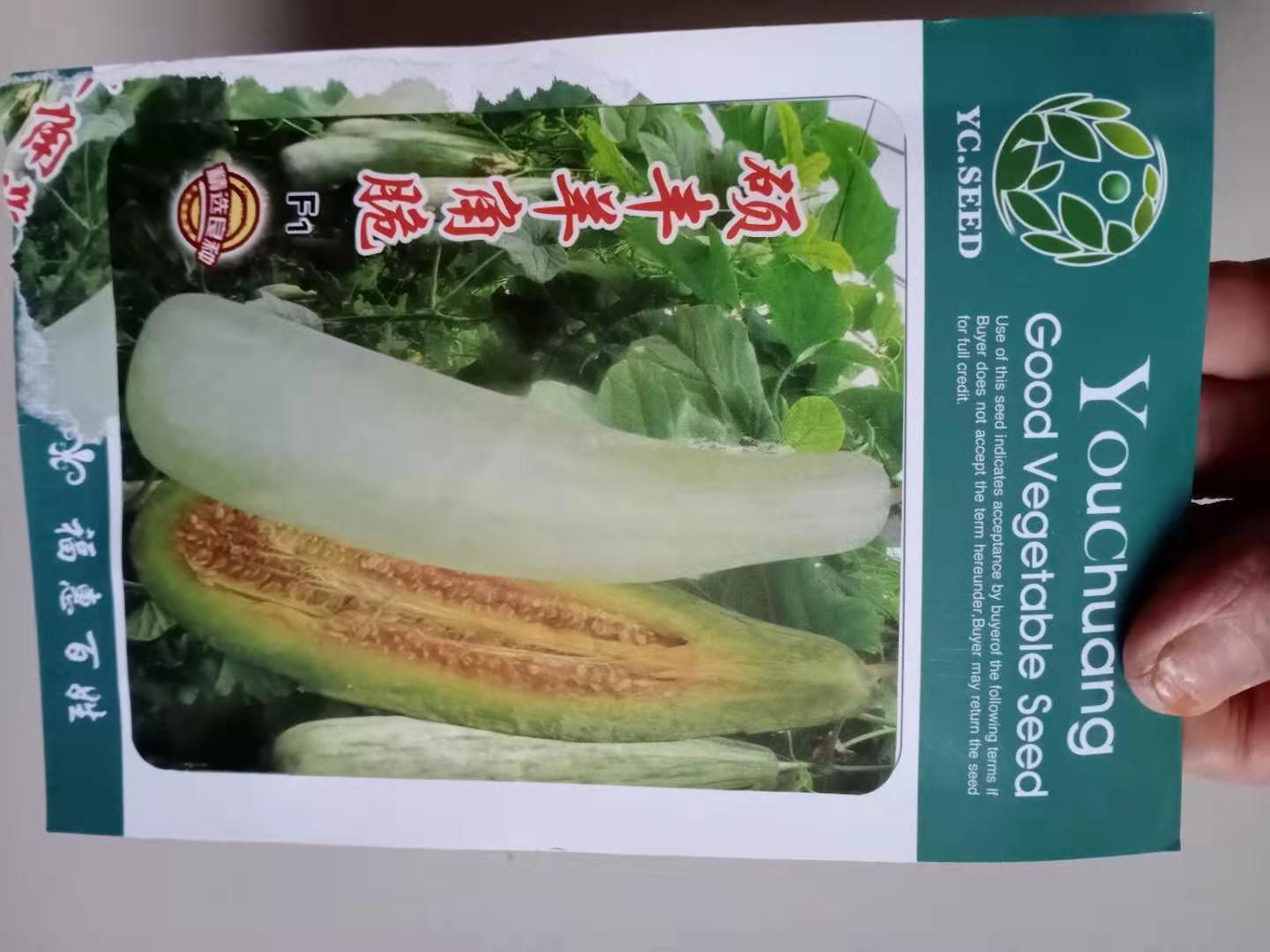 羊角蜜甜瓜种子 甜瓜种子