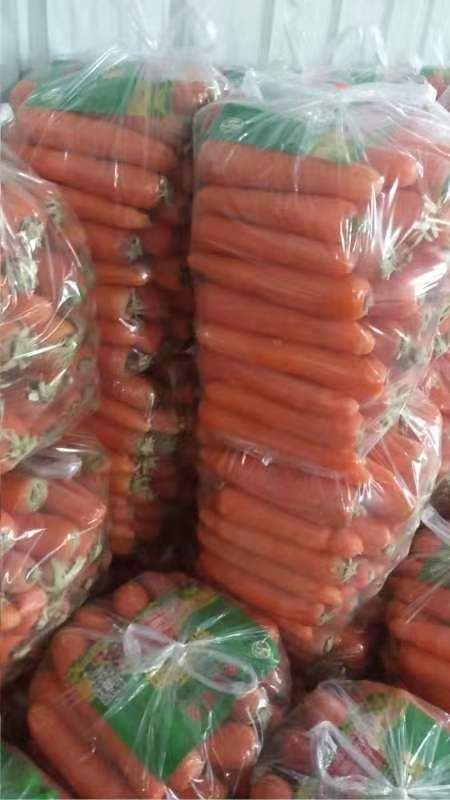 通许县 加工厂 市场用胡萝卜大量