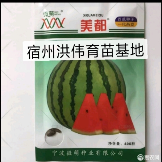宿州 美都西瓜苗，苗壮苗齐，成活率高
