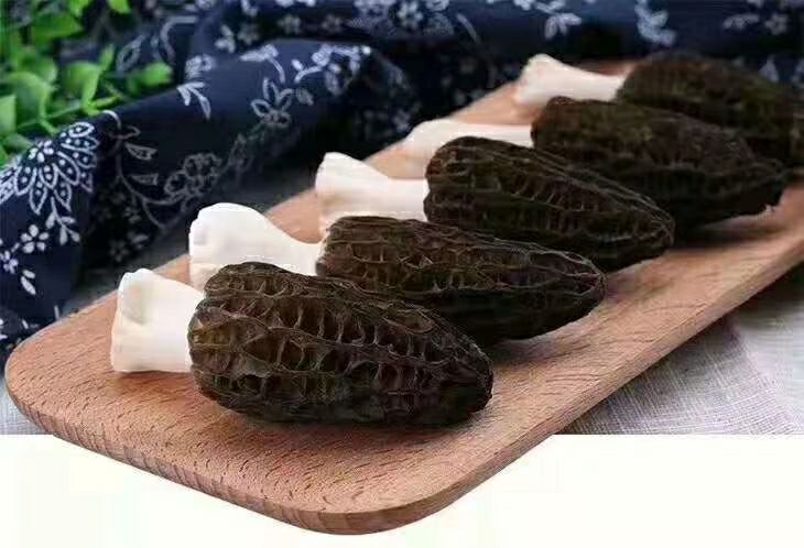 崇州市 新羊肚菌