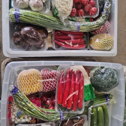 邯郸蔬菜大棚 无公害新年礼品蔬菜订购中