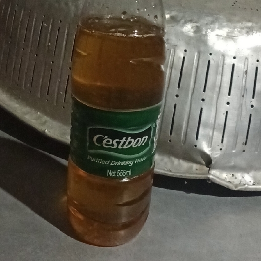 河池 自种自榨的山茶油