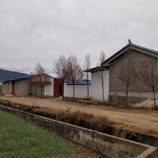 鹤庆县厂房 养殖场出租，证件齐全，地理位置优越，