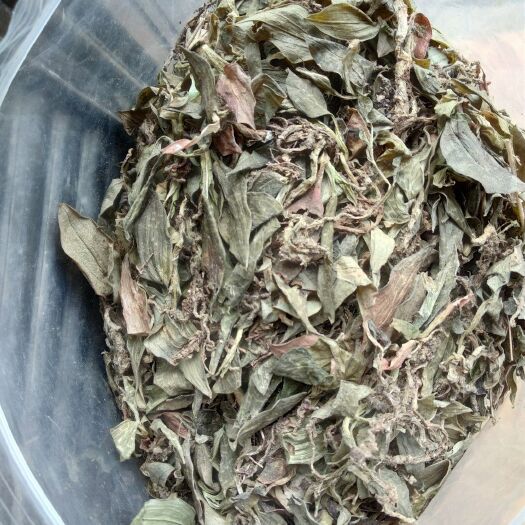 贵州铜仁非家种无硫中药材斑叶兰干品滋阴补肺银线莲产地生货