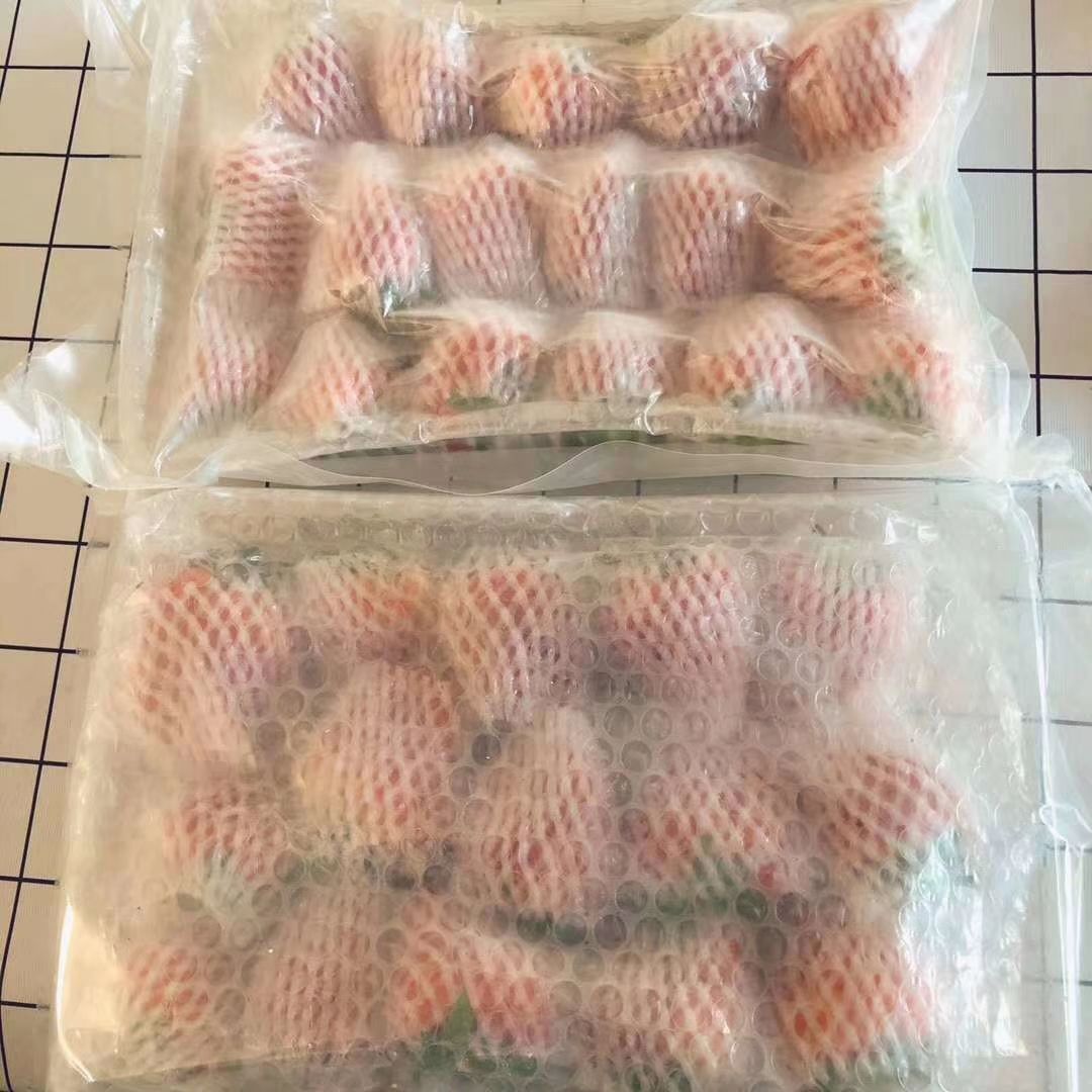  正宗丹东马家岗99草莓