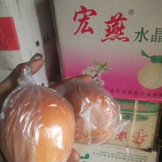 大名县 红梨