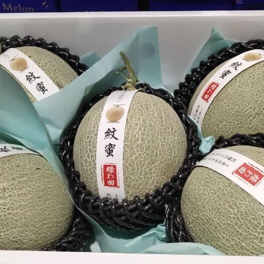 乐东县网纹瓜 一级