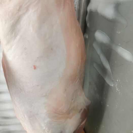 广州 西北新鲜羊肉