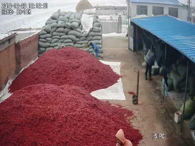 新民市红太阳辣椒 5~10cm 中辣 红色