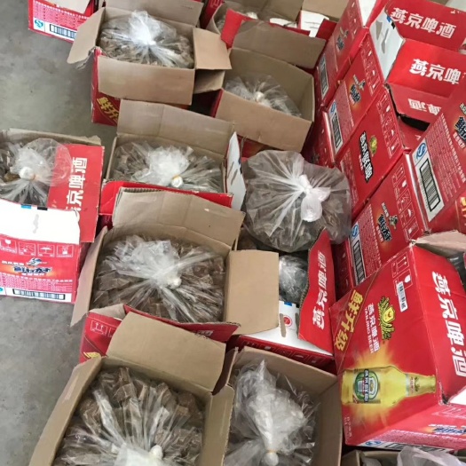 大新县手工糖 广西纯手工古沽红糖