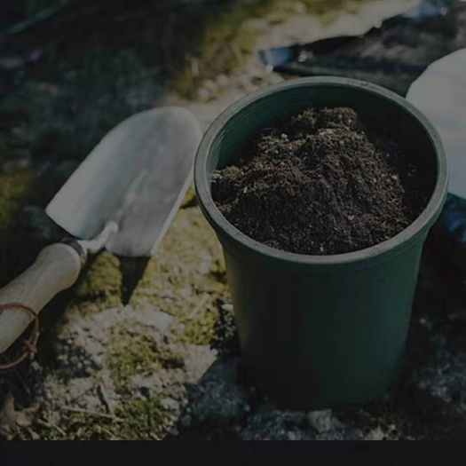 营养土通用型花土种菜种花土壤多肉君子兰绿萝花卉肥料盆栽专用