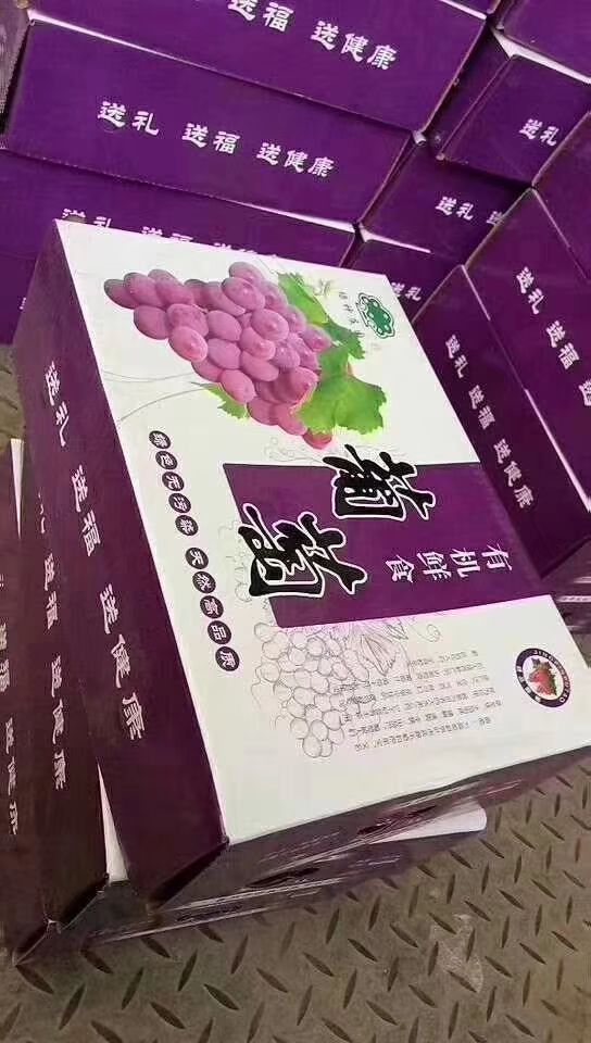 晋州市 巨峰葡萄礼盒装  头茬  二茬 大量供应