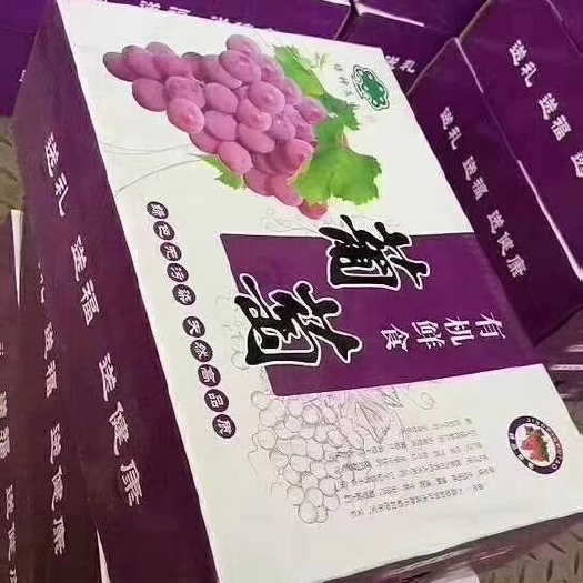 晋州市巨峰葡萄礼盒装  头茬  二茬 大量供应