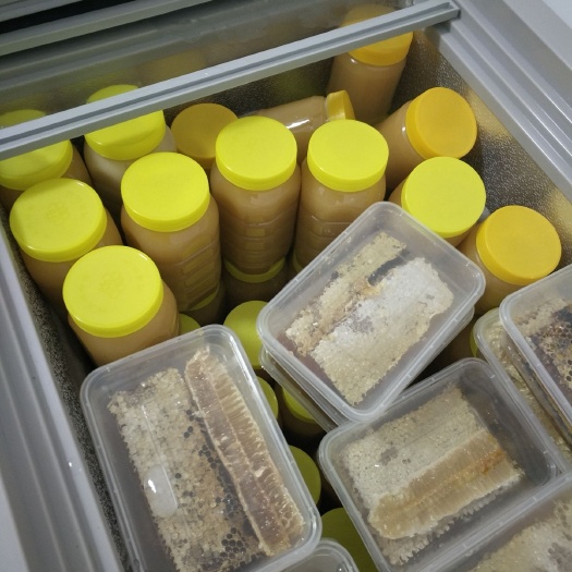 惠东县土蜂蜜 广东鸭脚木土蜂冬蜜500克/瓶~包邮，结晶，乳白奶油膏状