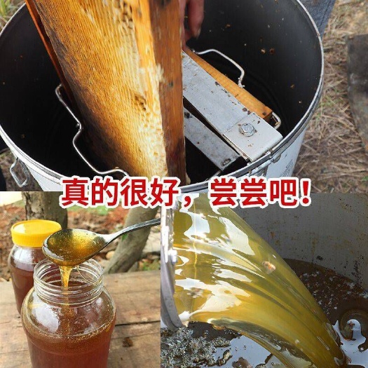 承德县 天然蜂蜜，可预订各种规格如巢蜜盒蜜散蜜等