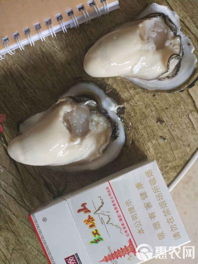 湛江牡蛎 统货