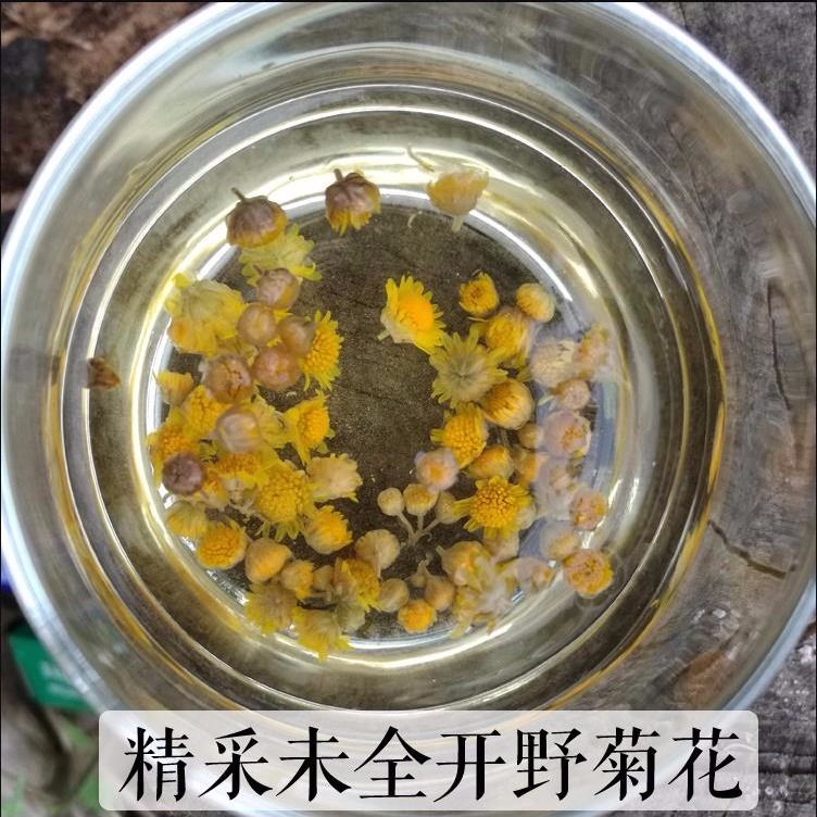 菊花茶  干菊花天然飲品批發(fā)價(jià)